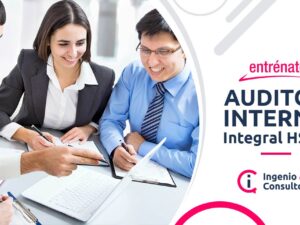 Curso Completo Auditor Interno en Gestión Integral en HSEQ